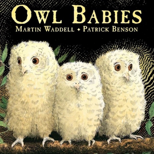 tiney Book Club - Owl Babies